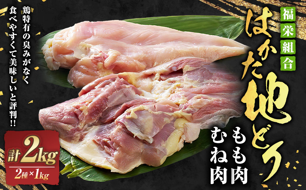 福栄組合 はかた地どり もも肉 むね肉 セット 2kg 地鶏