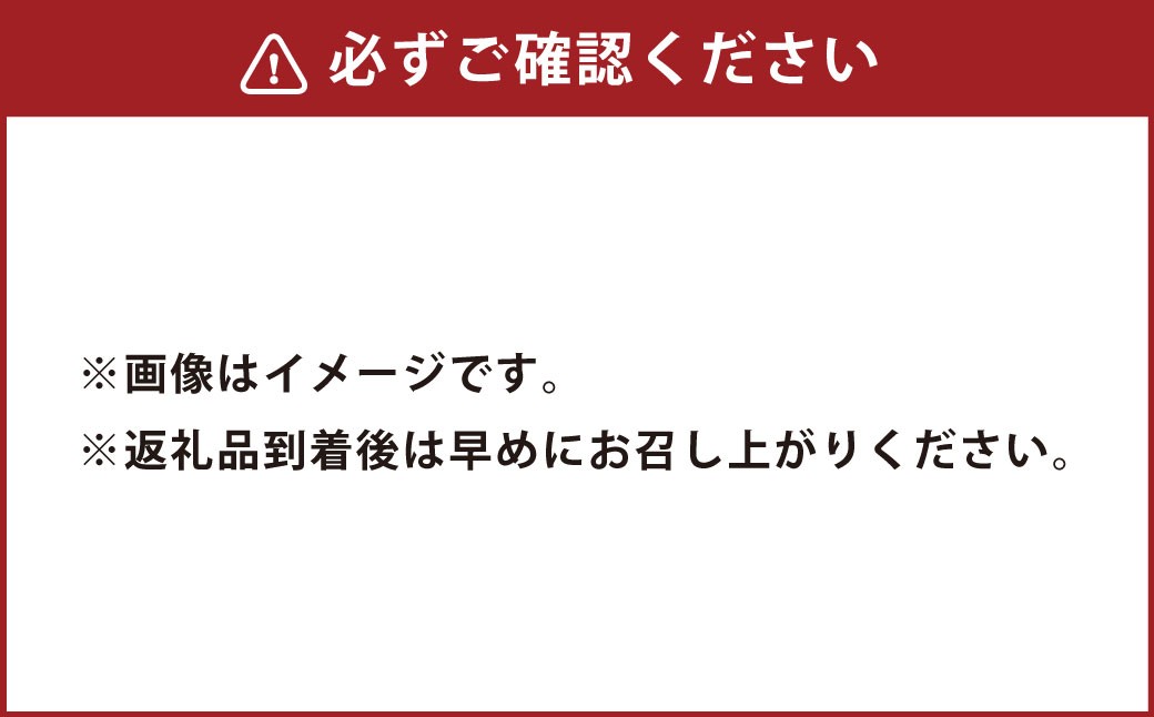2種類の和三盆 フロマージュ 和三盆 無添加 コテツ 焼プリン 10個 セット