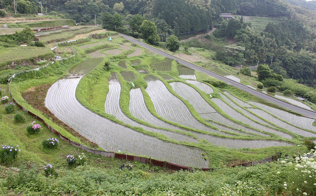 福岡県 苅田町への寄付(返礼品はありません) 1口 1万円