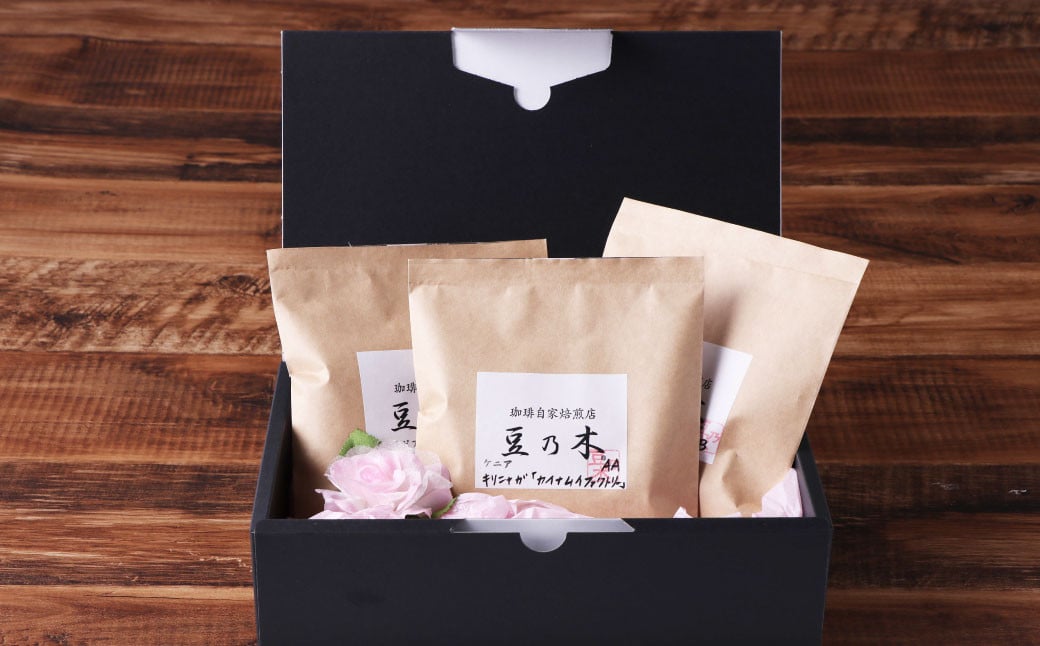 豆乃木オーナーおすすめコーヒー豆3種（グァテマラ、ケニア、エチオピア）セット コーヒー コーヒー豆 コーヒー粉 飲み比べ 各100g×3袋 合計約300g 冷蔵 豆の専門店 福岡県 京都郡 苅田町