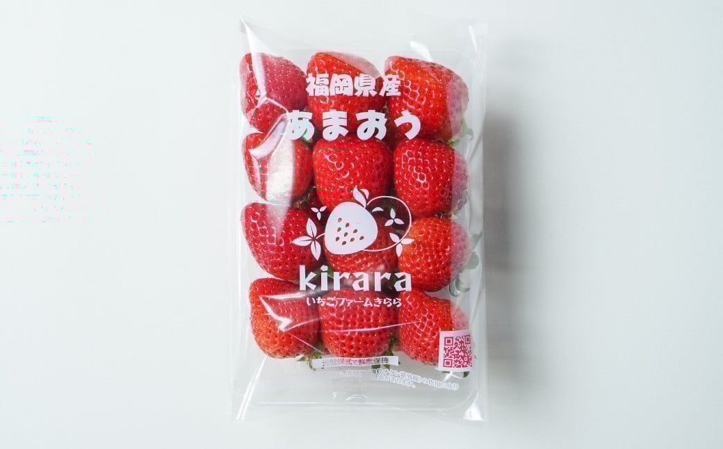 あまおう 約570g 約285g×2パック いちごファームきらら いちご イチゴ 苺【ふくおかエコ農産物認証】【2026年2月上旬から3月下旬発送予定】