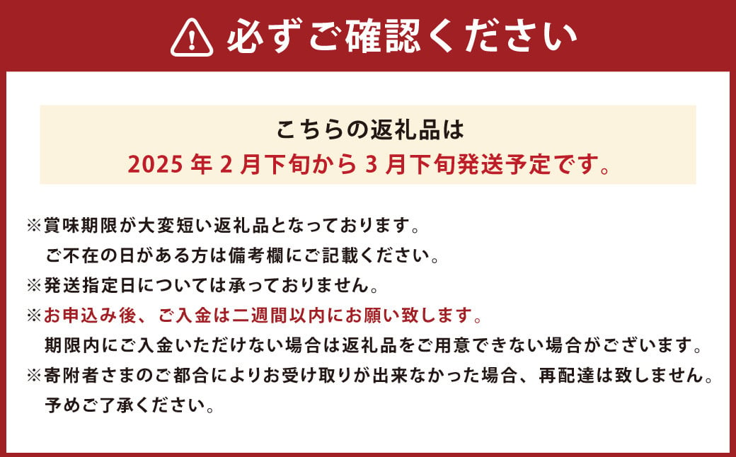 あまおう 約570g 約285g×2パック いちごファームきらら いちご イチゴ 苺【ふくおかエコ農産物認証】【2025年2月下旬～3月下旬発送予定】