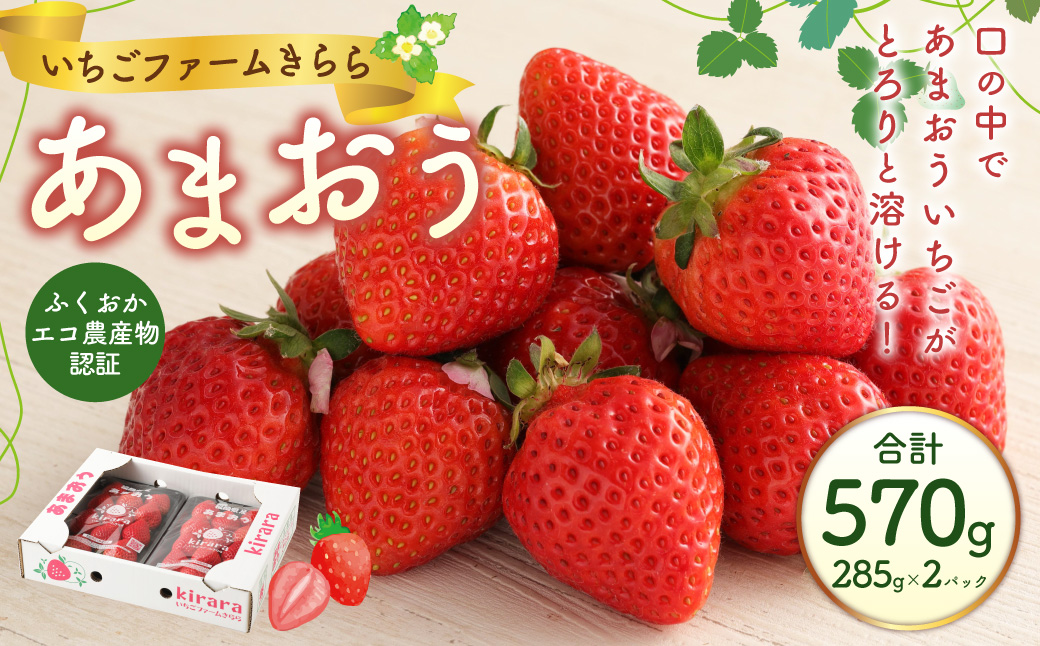 あまおう 約570g 約285g×2パック いちごファームきらら いちご イチゴ 苺【ふくおかエコ農産物認証】【2025年2月下旬～3月下旬発送予定】