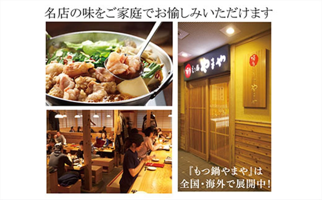 【定期便：年6回奇数月発送】やまや 博多もつ鍋（醤油味・味噌味） 1～2人前 もつ鍋 鍋 セット しょうゆ味 みそ味