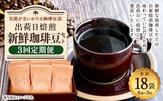 【定期便3回】出荷日焙煎『新鮮珈琲豆セット』3種 6袋 コーヒー 珈琲