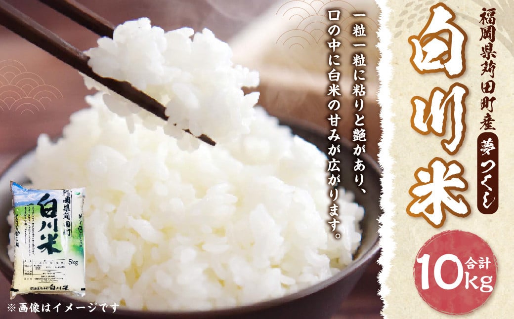 白川米 ( 夢つくし ) 合計10kg（5kg×2袋） お米 白米