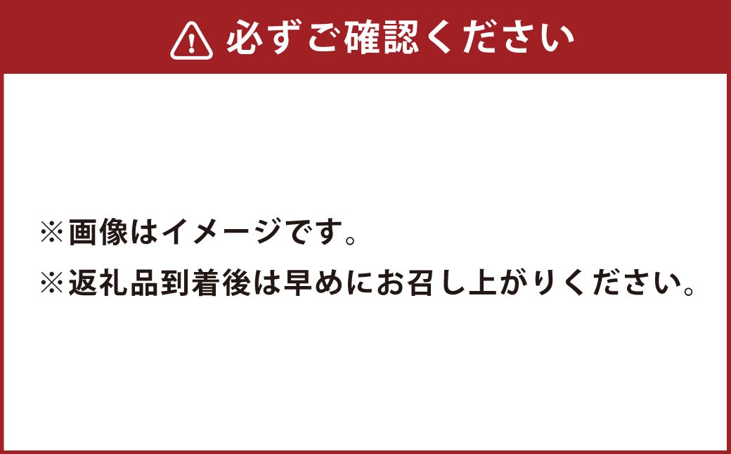 2種類の和三盆 無添加 コテツ 焼プリン 10個 セット カスタード 抹茶