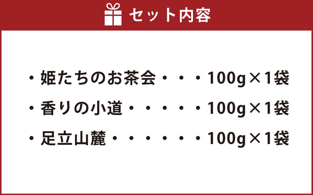 豆乃木特選ブレンド コーヒー豆3種セット コーヒー コーヒー豆 コーヒー粉 珈琲豆 珈琲 中挽き 飲み比べ 各100g×3袋 合計約300g 冷蔵 豆の専門店 福岡県 京都郡 苅田町