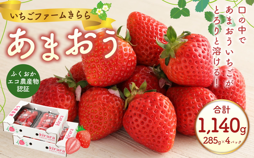 あまおう 約1140g 約285g×4パック いちごファームきらら いちご イチゴ 苺【ふくおかエコ農産物認証】【2025年2月下旬～3月下旬発送予定】