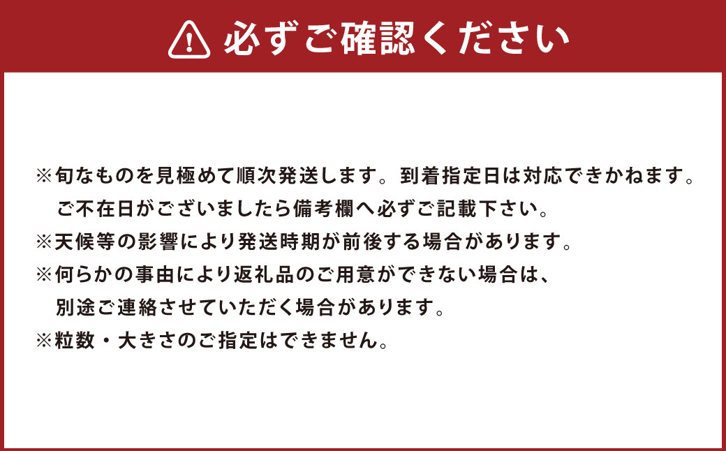 あまおう 約2280g 約285g×8パック いちごファームきらら いちご イチゴ 苺【ふくおかエコ農産物認証】【2026年2月上旬～3月下旬発送予定】