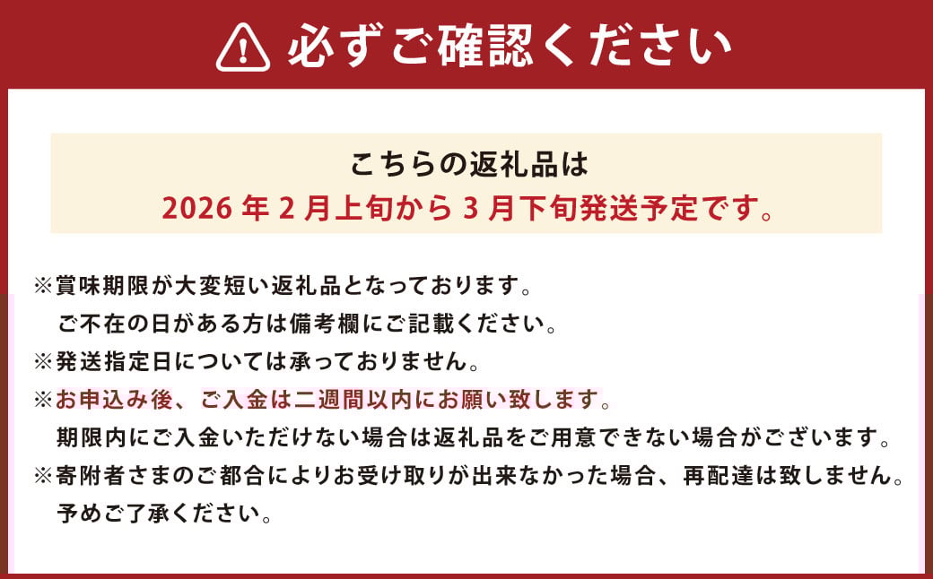 あまおう 約570g 約285g×2パック いちごファームきらら いちご イチゴ 苺【ふくおかエコ農産物認証】【2026年2月上旬から3月下旬発送予定】