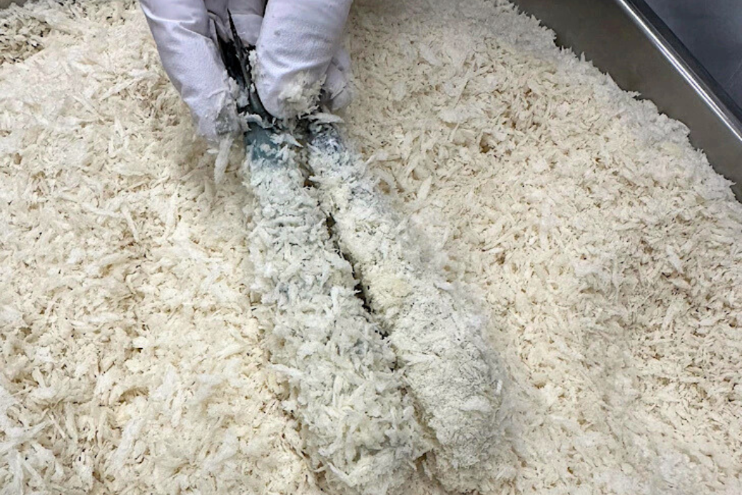 老舗鮮魚店のぷりぷりえびフライ 16尾（8尾×2パック） エビフライ エビ えび 海老 冷凍 惣菜 揚げるだけ 簡単調理 お弁当 おかず ブラックタイガー 大きい プリプリ ：B140-102