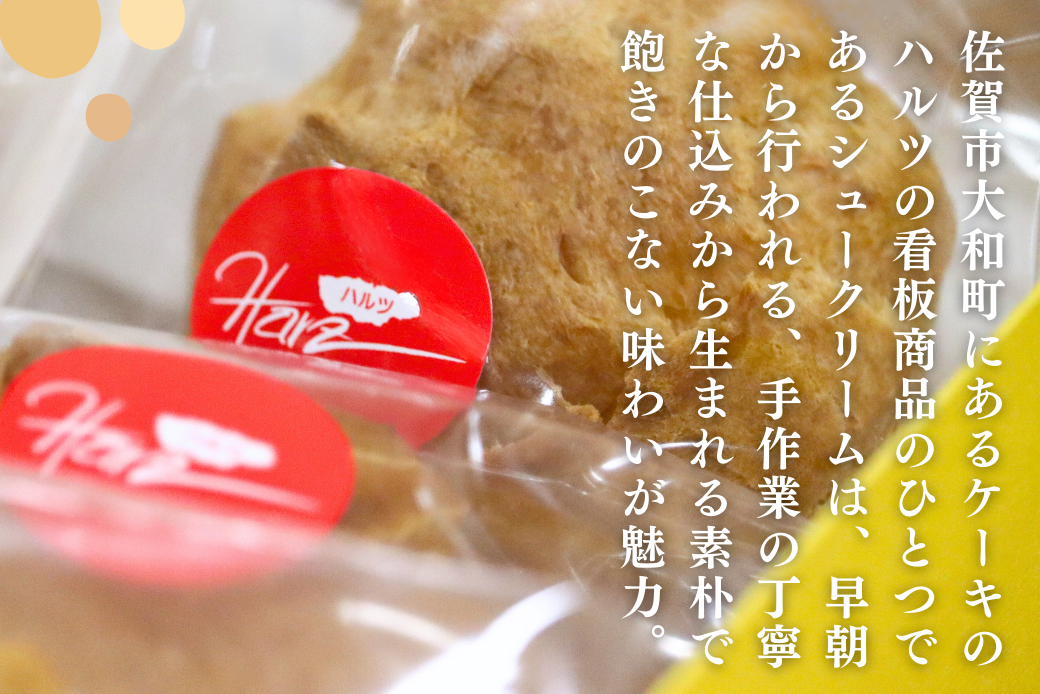 ハルツのシュークリーム 10個 創業40年 スイーツ 洋菓子 お菓子 おやつ デザート 小分け 個包装 ご褒美 お取り寄せ 人気 冷凍配送 送料無料 佐賀県 佐賀市：B120-073