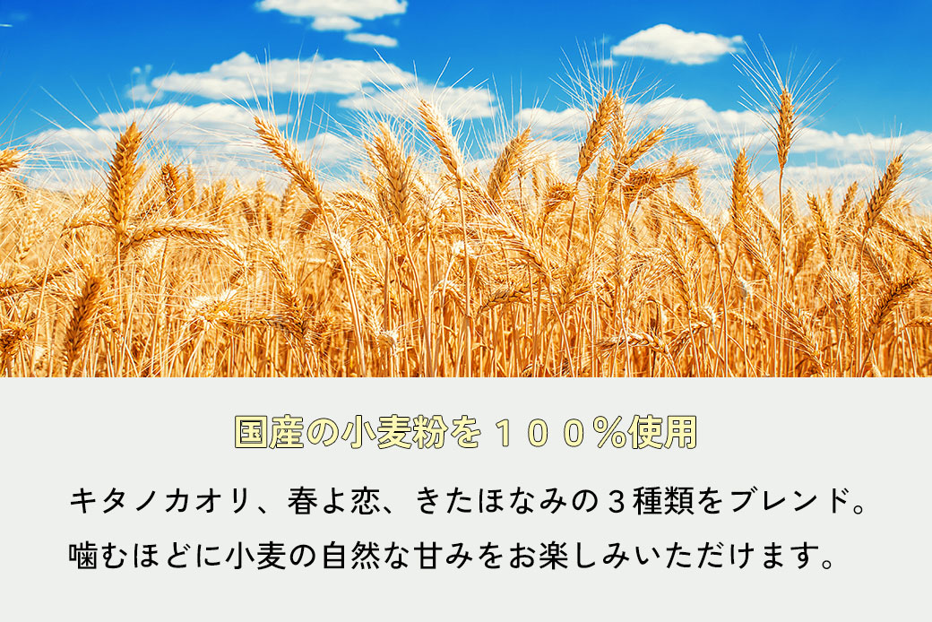 おまかせベーグル10個セット 詰め合わせ もちもち 国産小麦 こだわり食材 パン 冷凍 朝食 ベーグル 行列 人気店 MORE BAGEL 佐賀市：B150-054