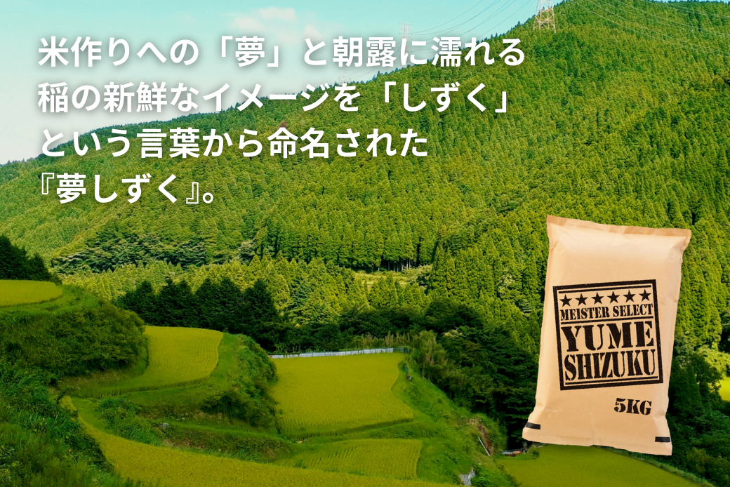 五つ星お米マイスターが厳選！【新米】令和7年産 佐賀県産 夢しずく 白米 10kg（5kg×2袋）おこめ 米 ：B320-016