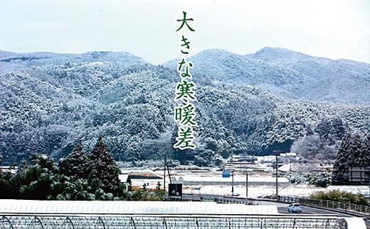 令和7年産 佐賀市三瀬村産「コシヒカリ」15kg（5kg×3袋）：B485-002