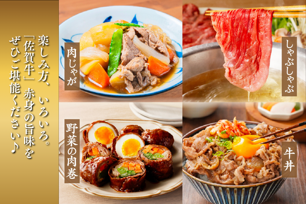 佐賀牛 モモスライス 600g：B220-039