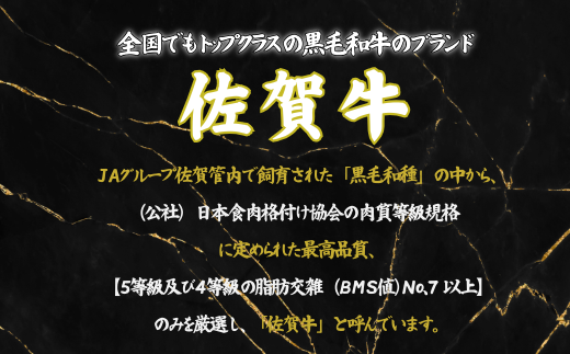 【定期便3回】佐賀牛サーロインステーキ 200g×5枚：C119-013