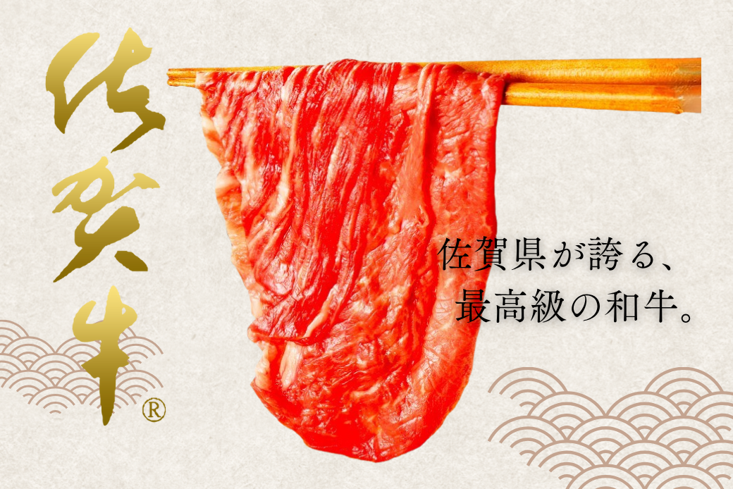 佐賀牛 肩ローススライス 500g：B155-012