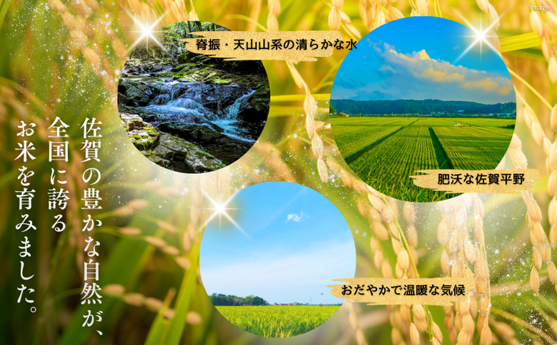 莉、蜥7蟷エ 菴占ウ逵檎肇螟「縺励★縺 逋ス邀ウ6kgシ咤170-037