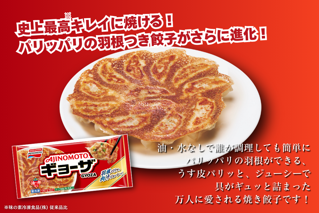 人気返礼品コラボセット AJINOMOTOギョーザ・JAさがオリジナル鶏ごぼうピラフ（各10袋） ぎょうざ 120個 ピラフ 250g×10袋 さがびより使用 味の素 ＪＡフーズさが 冷凍食品 餃子 簡単調理 加工食品 惣菜 冷凍 佐賀市：B230-019