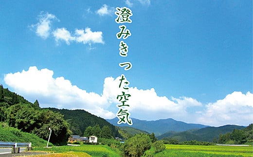 令和7年産 佐賀市三瀬村産「コシヒカリ」20kg（5kg×4袋）：B630-003