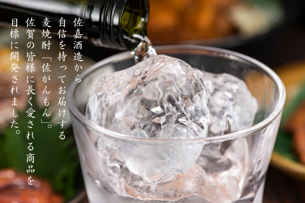 佐嘉酒造 佐がんもん 麦焼酎 25度 1800ml×6本：B305-009