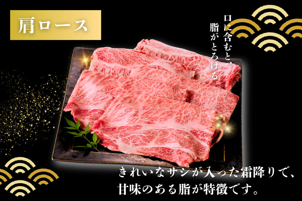 佐賀牛 肩ローススライス 600g：B205-014