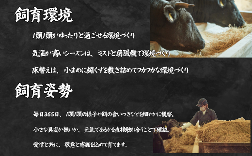 【定期便6回】佐賀牛サーロインステーキ 200g×3枚：C147-006