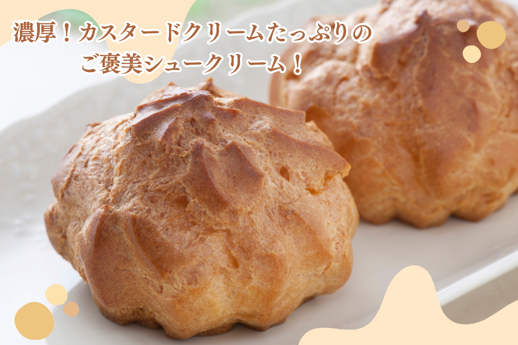 ハルツのシュークリーム 6個 創業40年 スイーツ 洋菓子 お菓子 おやつ デザート 小分け 個包装 ご褒美 お取り寄せ 人気 冷凍配送 送料無料 佐賀県 佐賀市：A090-036