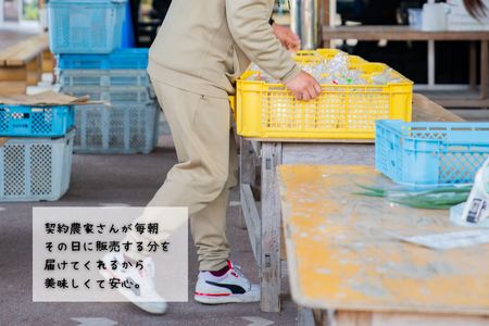 新鮮・季節の野菜詰め合わせ：B120-006