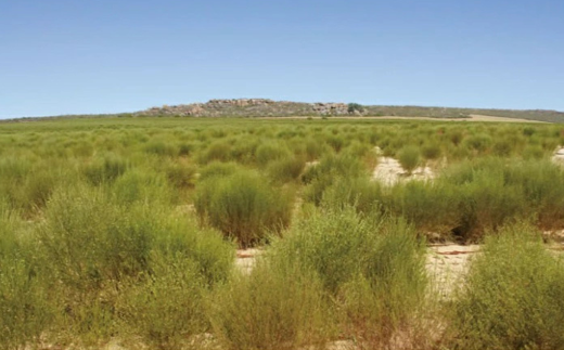 繧ェ繝シ繧ャ繝九ャ繧ッ繝ォ繧、繝懊せ繝繧」繝シシ4蛟九そ繝繝茨シ会シ咤190-010