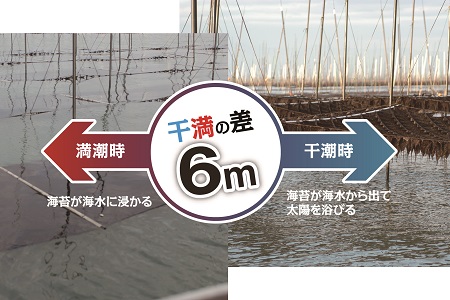 プレミアム佐賀海苔味付のり3袋セット：A095-052