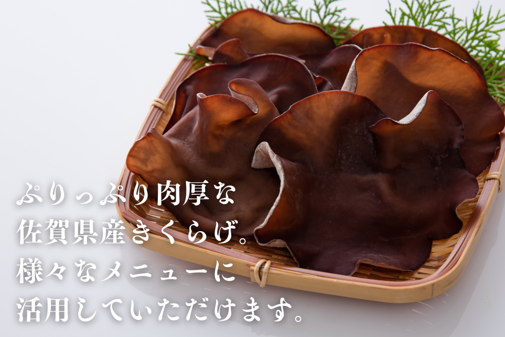 佐賀県産乾燥きくらげ4袋（手作業）：B130-025