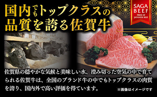 佐賀牛100％ハンバーグ 150g×6個：B190-035