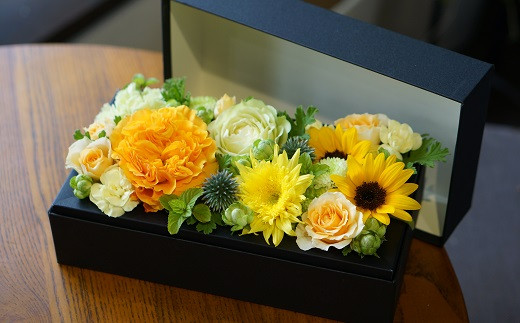 蟄」遽縺ョ逕溯干縺ョ繝輔Λ繝ッ繝シ繝懊ャ繧ッ繧ケシ咤160-019