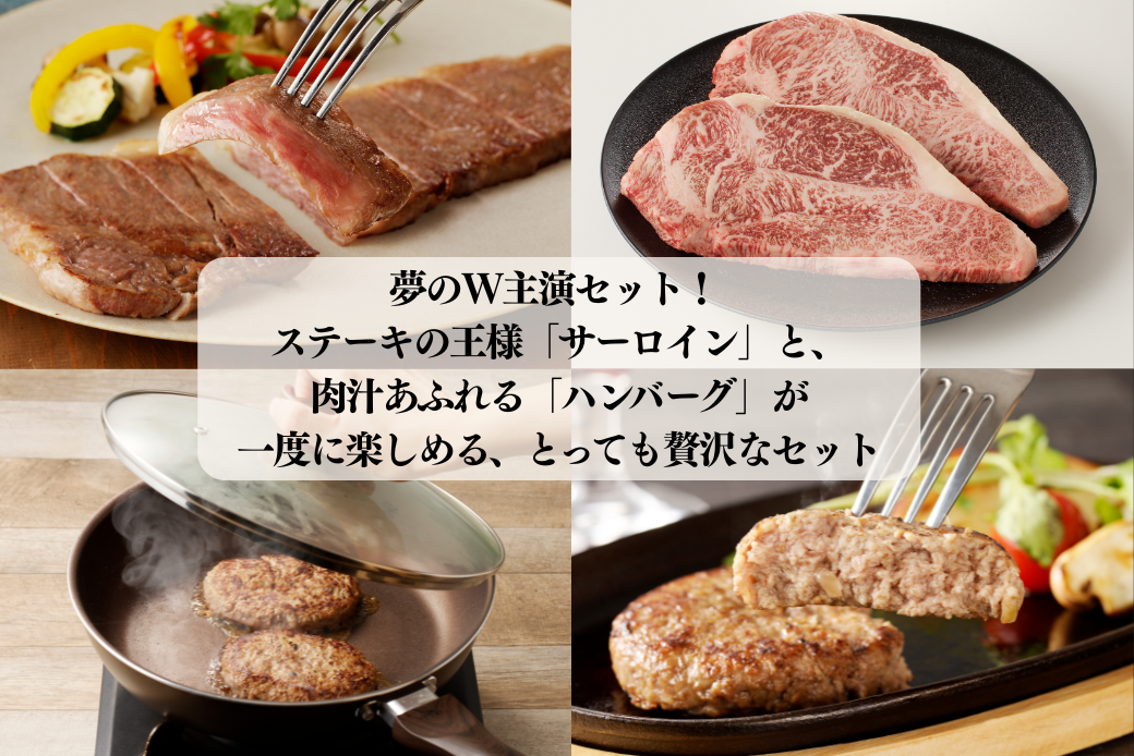 佐賀牛サーロインステーキ 400g・佐賀牛仕込みハンバーグ 4個 セット：B235-020