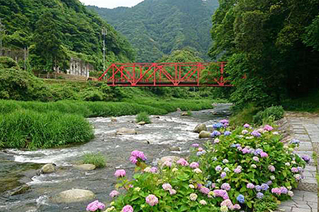 古湯・熊の川温泉 千曲荘 宿泊券：C122-003