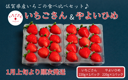佐賀県産いちご いちごさん&やよいひめセット：B100-041