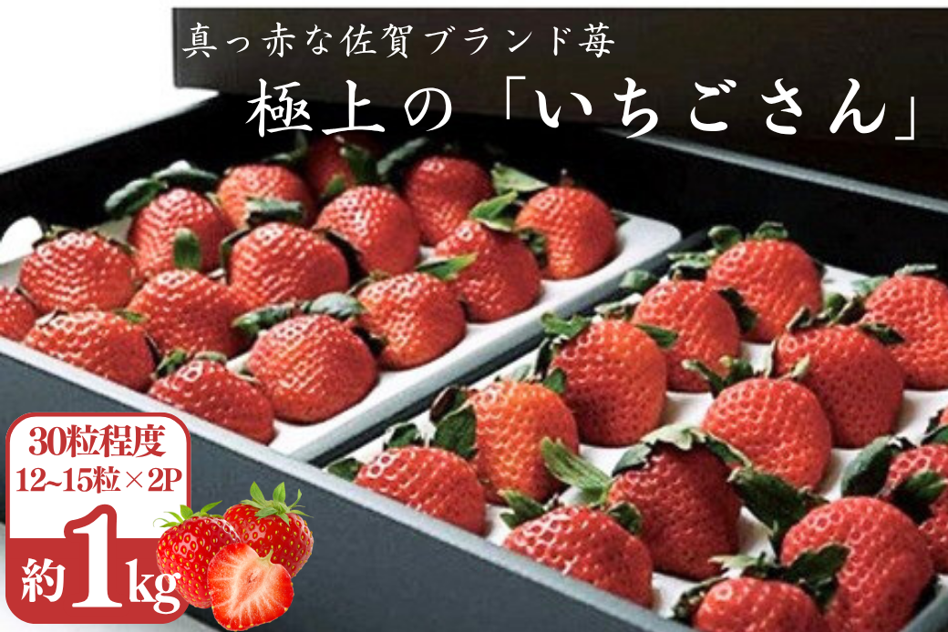 極上のいちごさん ITOFARM 苺 佐賀県産 イチゴ フルーツ 果物 ：B240-016
