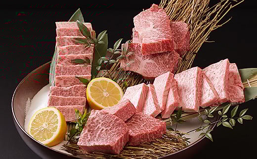 【全12回定期便】佐賀牛9.7kgコース（3〜6人分）：C526-001