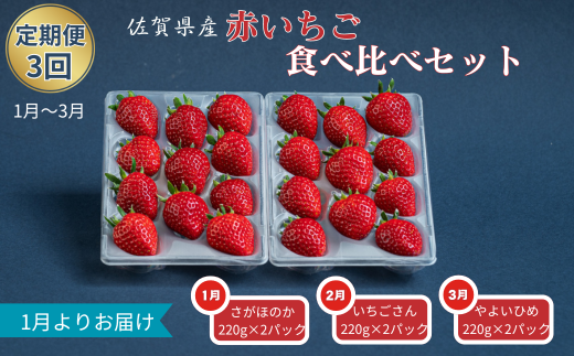 【定期便3回】赤いちご食べ比べ（1月〜3月発送）：B275-005