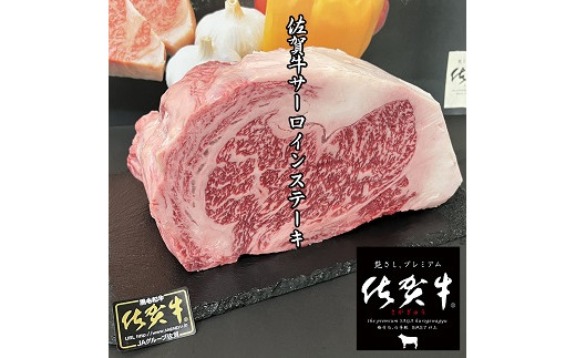 【奇数月定期便（年6回）】佐賀牛ステーキ 250g×2：C172-005