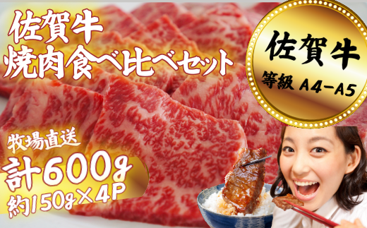 佐賀牛 焼肉食べ比べセット 600g：B200-068