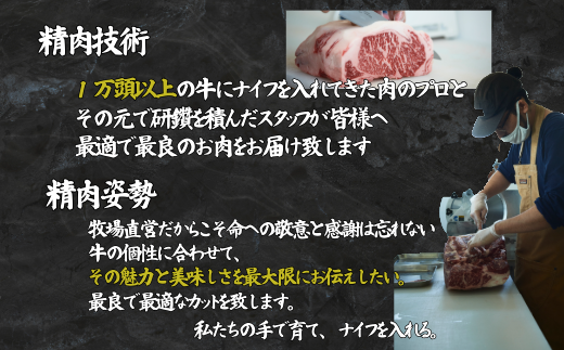 佐賀牛 赤身ステーキ 600g：B200-046