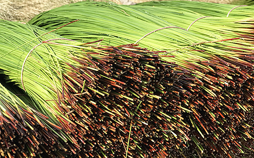 佐賀県産い草置き畳 82cm角1枚セット：B360-003