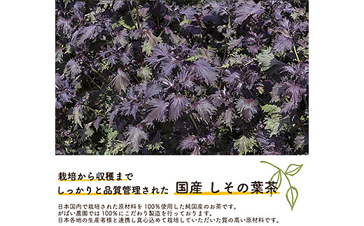 国産 しその葉茶（3個セット）：B210-011
