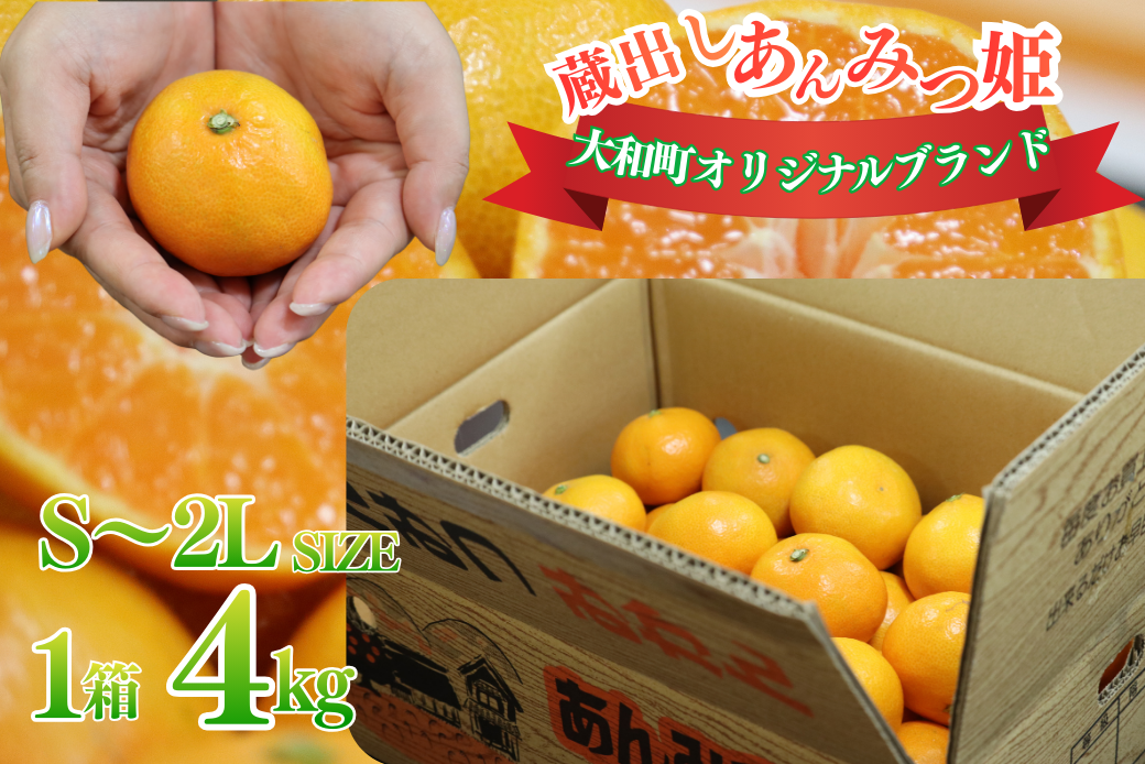 【1月下旬～3月発送】数量限定 佐賀みかん 蔵出しあんみつ姫 佐賀市大和町産 温州みかん：B150-078