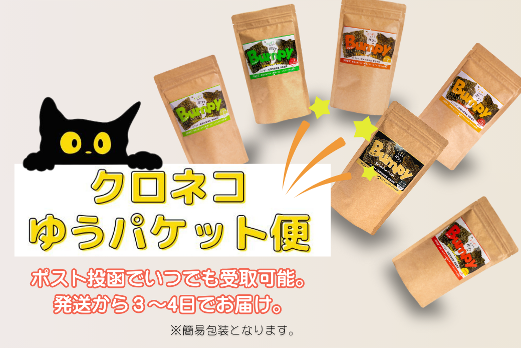 有明海産海苔使用 ヘルシーな海苔チップス「Bumpy（バンピー）」パウチ型6個アソートセット【クロネコゆうパケット利用】 フードロス削減 SDGs 有明海苔 有明海産 海苔 味付け海苔 スナック おやつ おつまみ：B100-068