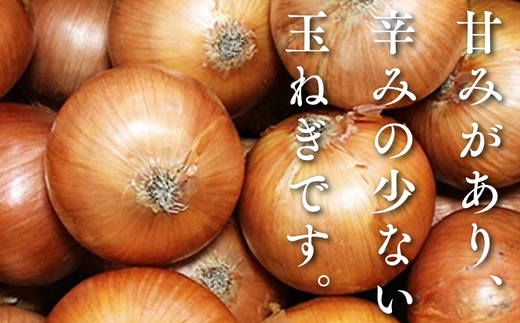 縲先悄髢馴剞螳壹台ス占ウ逵檎肇 縺溘∪縺ュ縺 10kg 譌ャ 驥手除 邇峨ュ縺 荵晏キ 菴占ウ逵 菴占ウ蟶ゑシ咤120-079